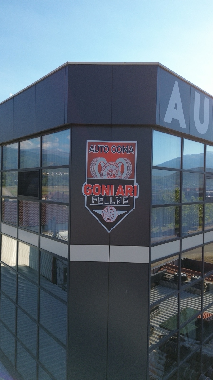 Detaj i logos dhe emblemës Goni Ari